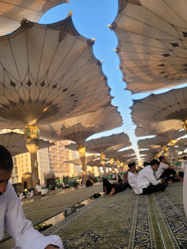 الملف الشخصي