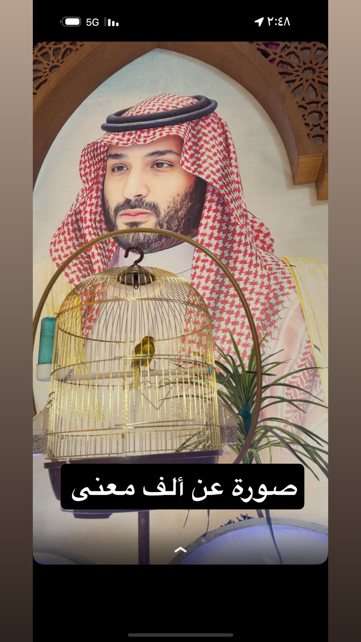 سلمى علي الحازمي الصفحة الشخصية 