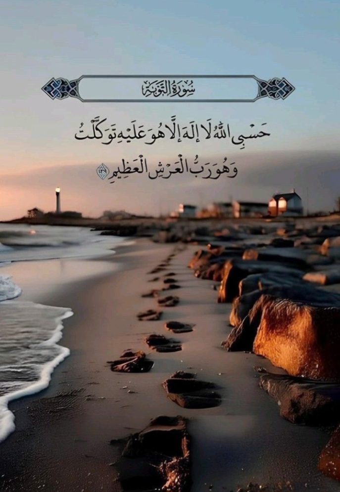 اسلام احمد عبد الحميد الصفحة الشخصية 